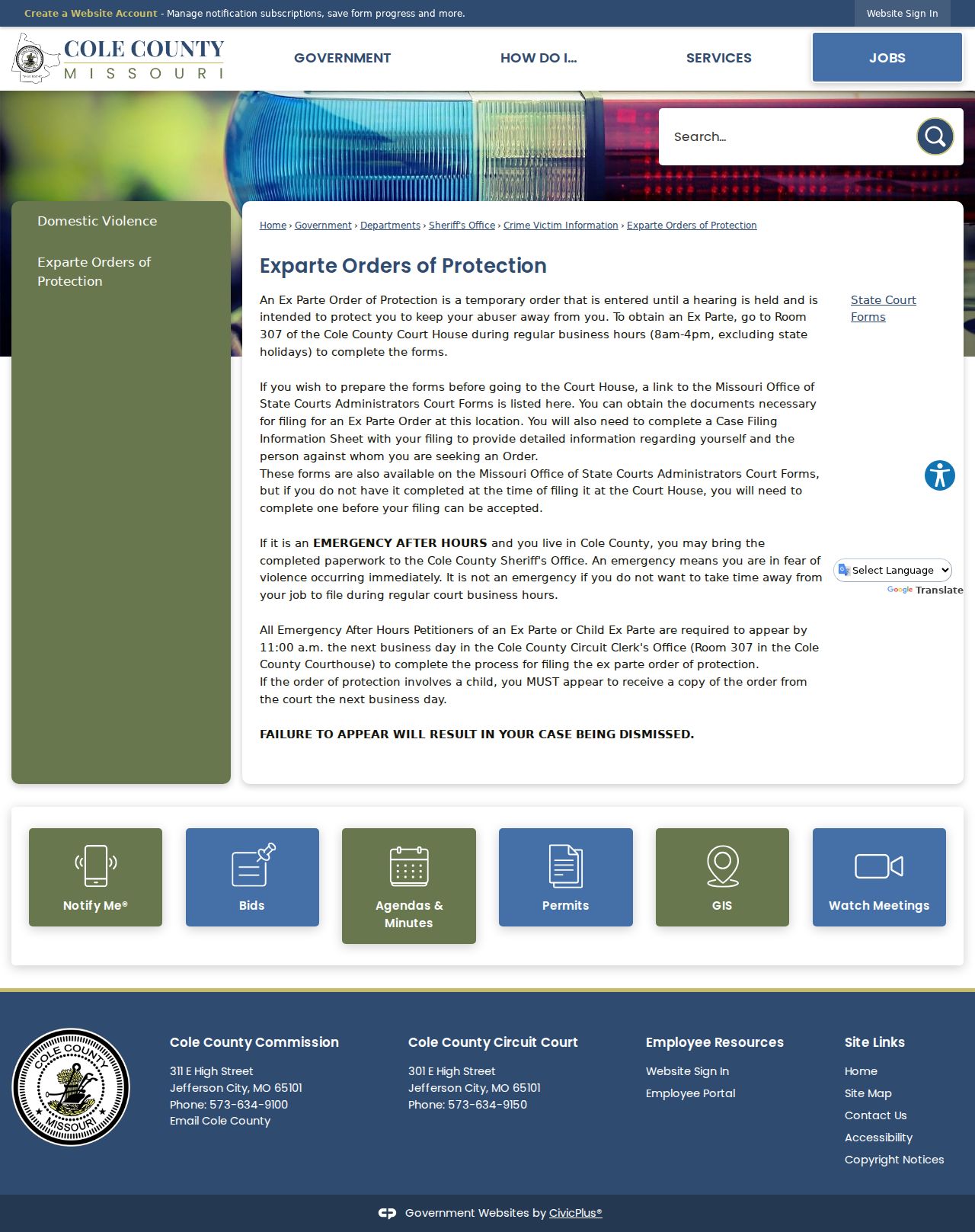Cole County civil docket source for protection order access